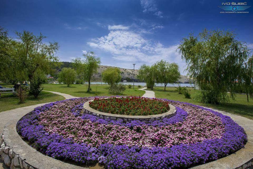Apartments Boric Lopar Dış mekan fotoğraf