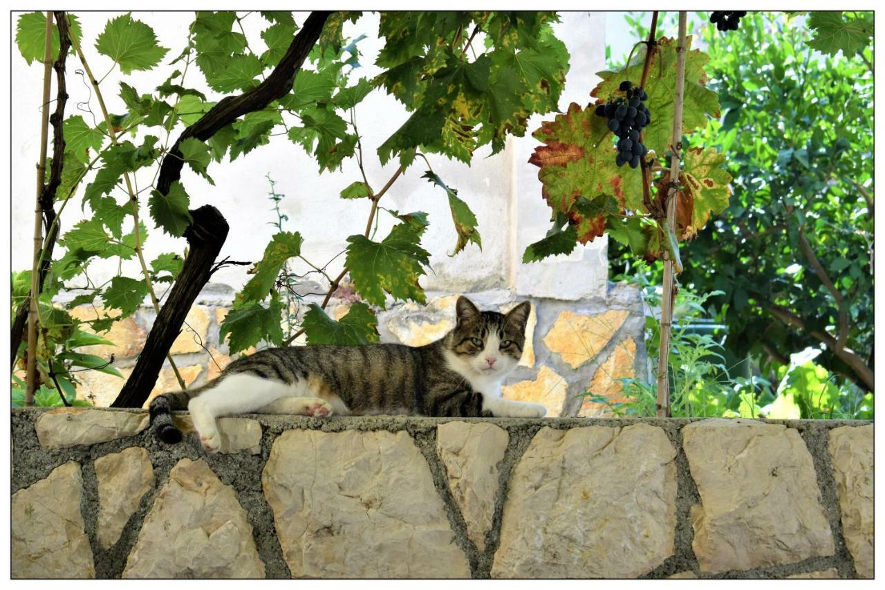 Apartments Boric Lopar Dış mekan fotoğraf
